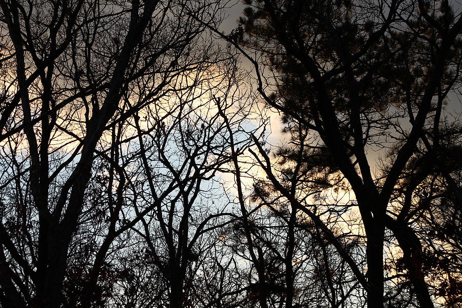 Sunset Photograph - Angry Sky by LillyAnn Venturino
