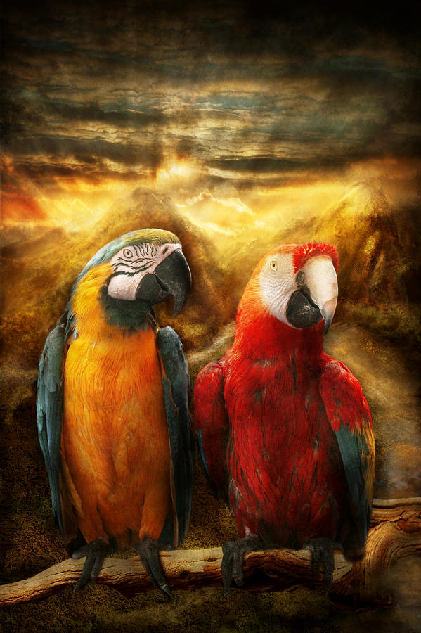 Animal - Parrot - Parrot-dise Photograph by Mike Savad