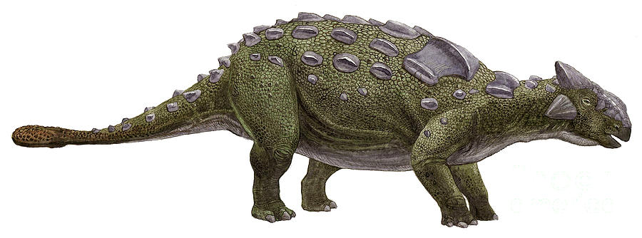 Ankylosaurus Magniventris Digital Art