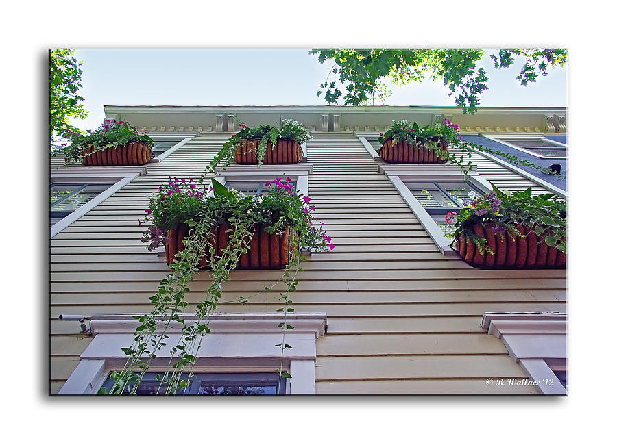 Annapolis Flower Boxes Photograph by Brian Wallace