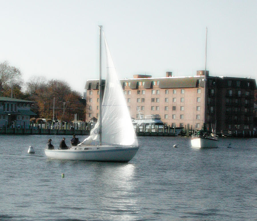 Annapolis Sail Boat Photograph by Marilyn Marchant