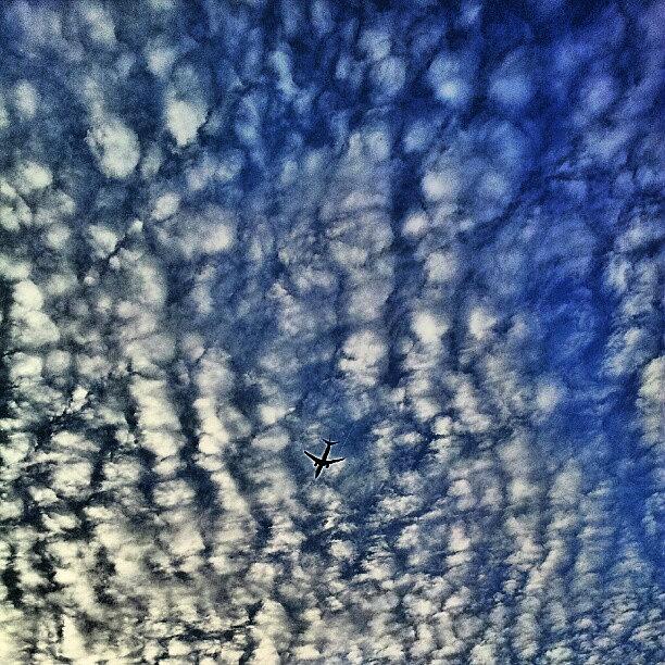 Blue Photograph - Another Catch This Morning #sky by Bimo Pradityo