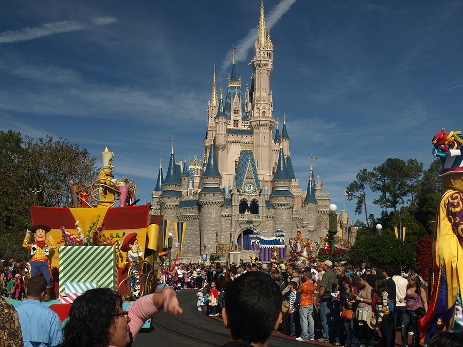 Another Day in the Disney Neighborhood Photograph by Mike Stanfield ...