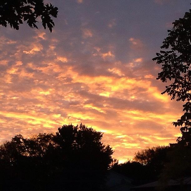 Another Glorious Sunrise This Morning Photograph by Lisa Worrell