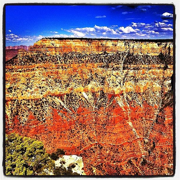 Nature Photograph - Another Grand Canyon Shot by Rachel Z