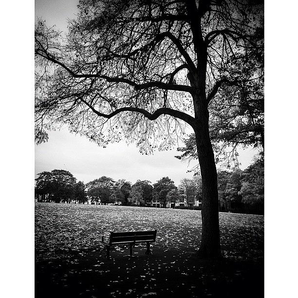 Another One From A Empty Wandsworth Photograph by Kjersti Nevestveit-Thompson