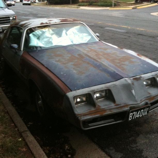 Another Potential Classic Car Rotting Photograph by Simon Prickett