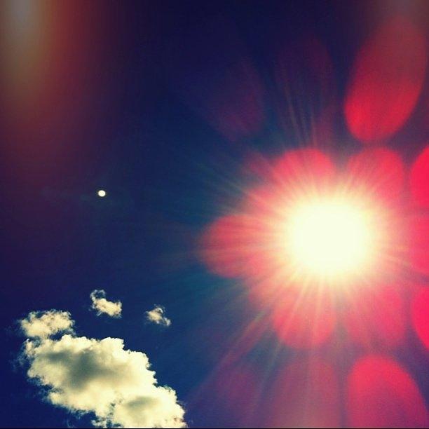 Sun Photograph - Another Sunny Day by S Michelle Reese