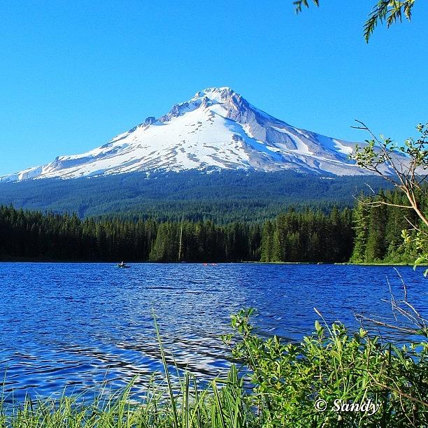 Nature Seekers Photograph - Another Version Of Mt. Hood In Oregon by Sandra Mortola