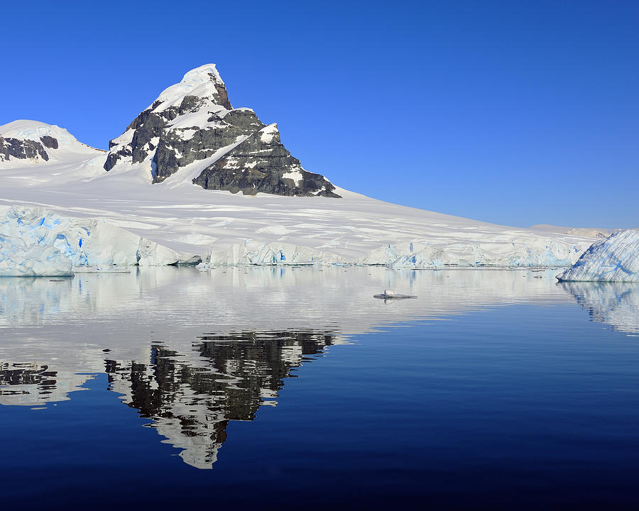 Antartica Photograph - Antarctic Calm by Tony Beck