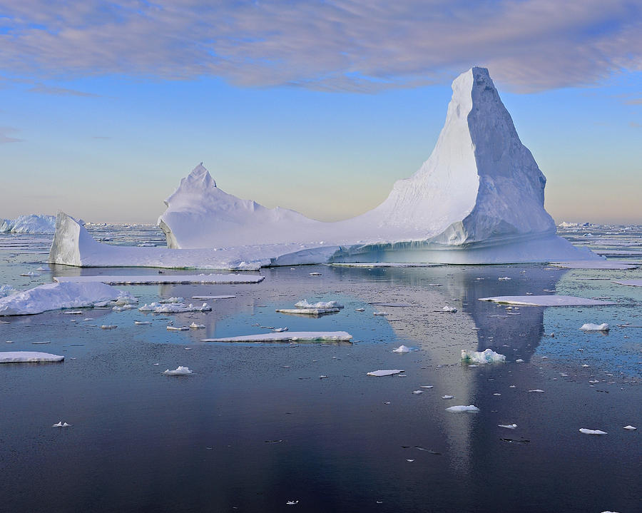 Iceberg Photograph - Antarctic Evening by Tony Beck