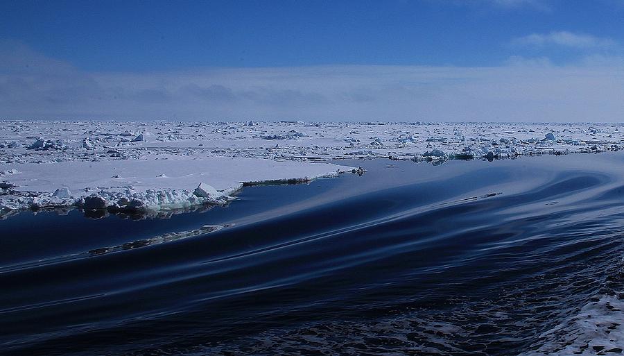 Nature Photograph - Antarctic Landscape 100 by David Barringhaus