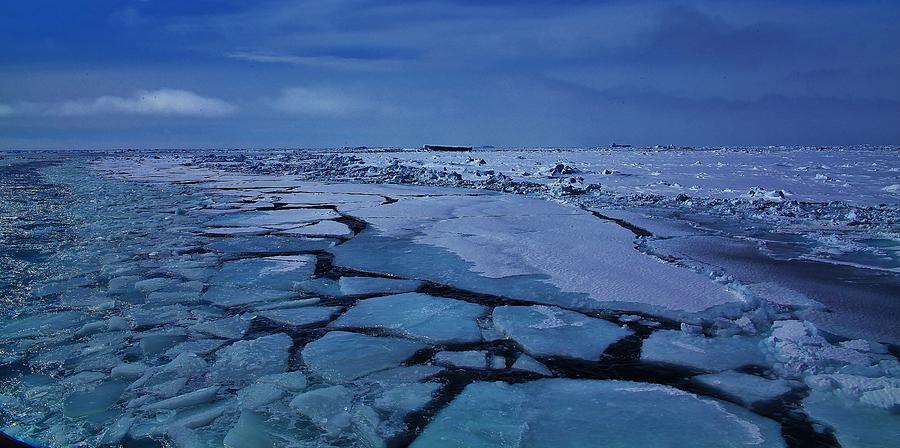 Nature Photograph - Antarctic Landscape 103 by David Barringhaus