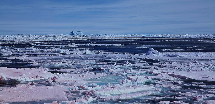 Nature Photograph - Antarctic Landscape 108 by David Barringhaus