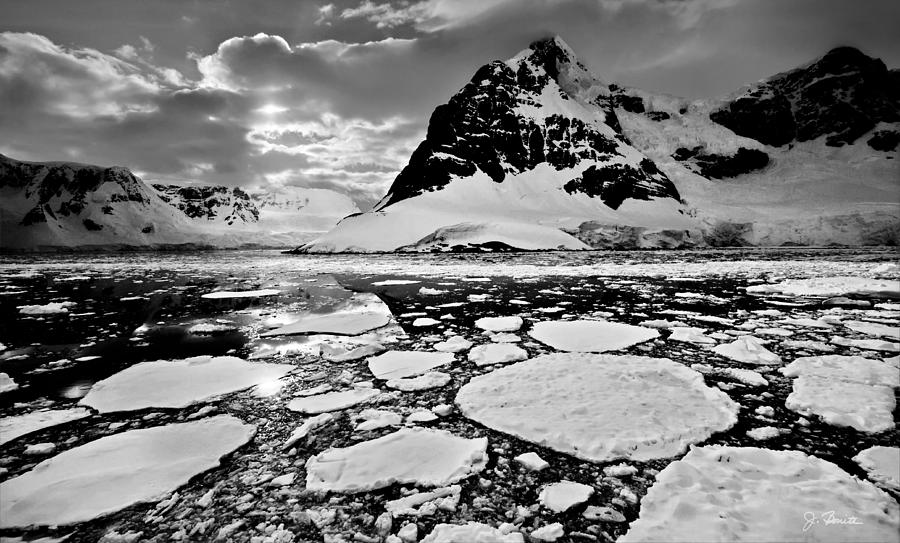 Antarctic No. 4a Photograph by Joe Bonita