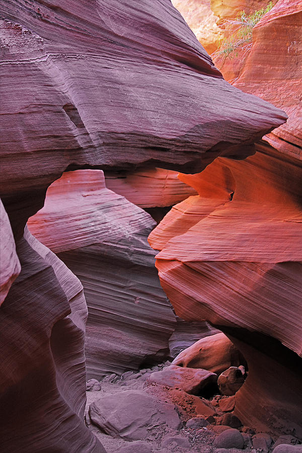 Antelope Canyon - Canvas for natures compositions Photograph by Alexandra Till