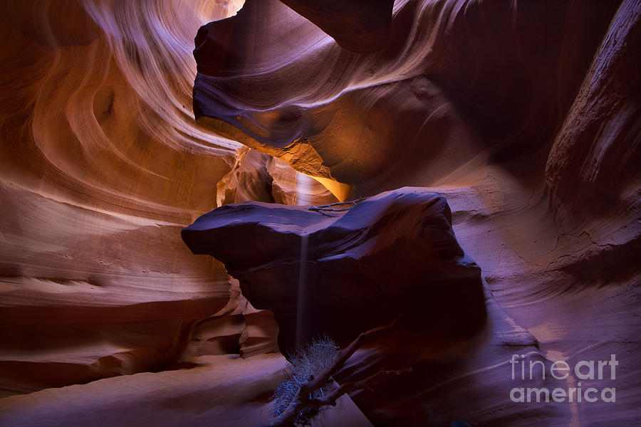 Antelope Canyon Photograph by Dennis Hedberg