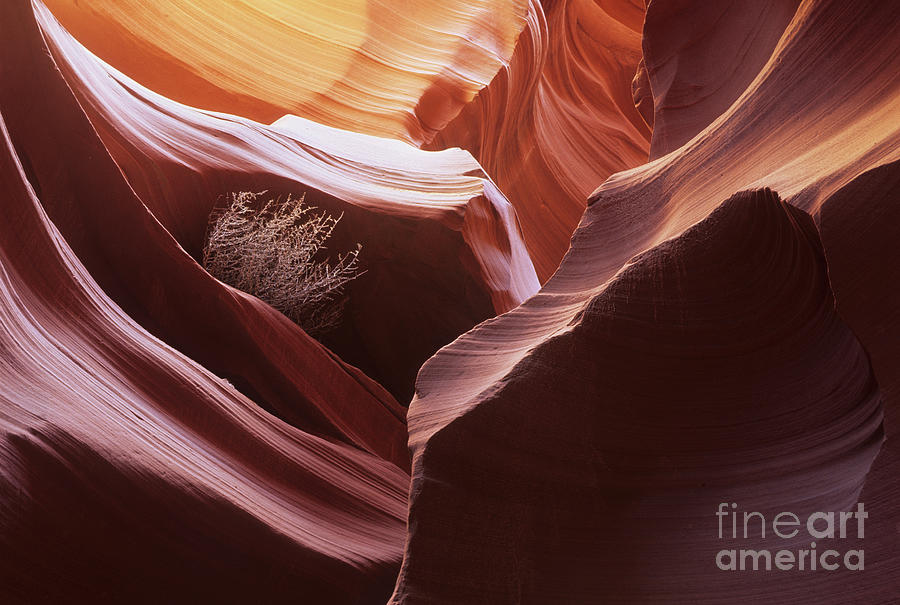 Antelope Canyon Magic Of Light Photograph by Bob Christopher