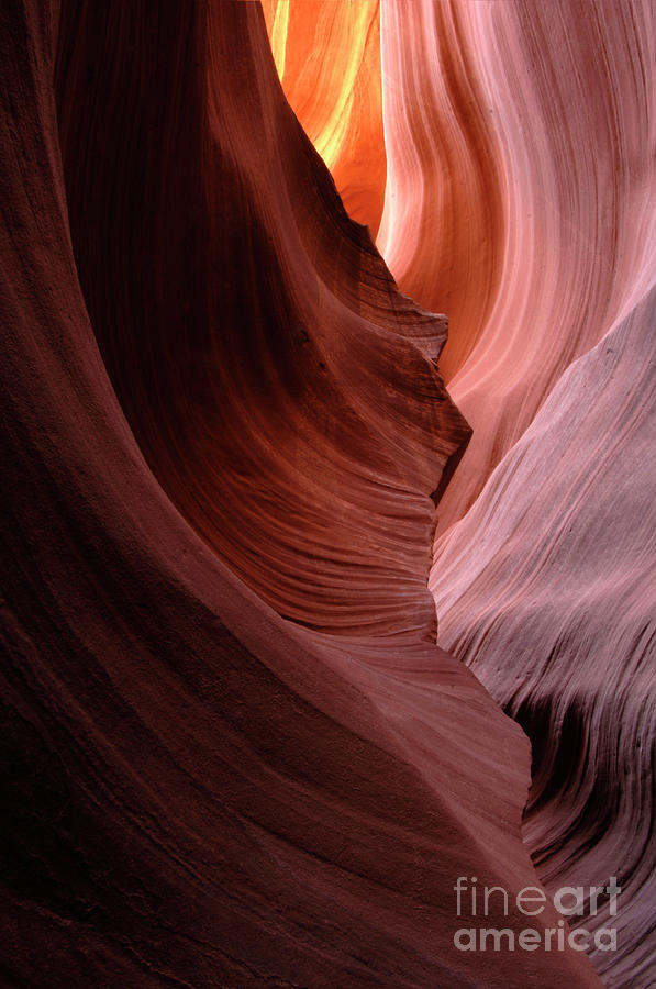 Antelope Canyon Purity Photograph by Bob Christopher