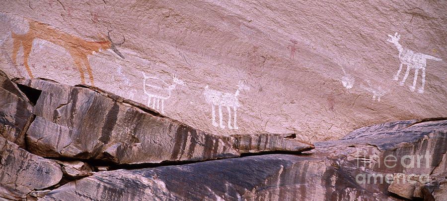 Antelope House Petroglyphs Photograph by Bob Christopher | Pixels