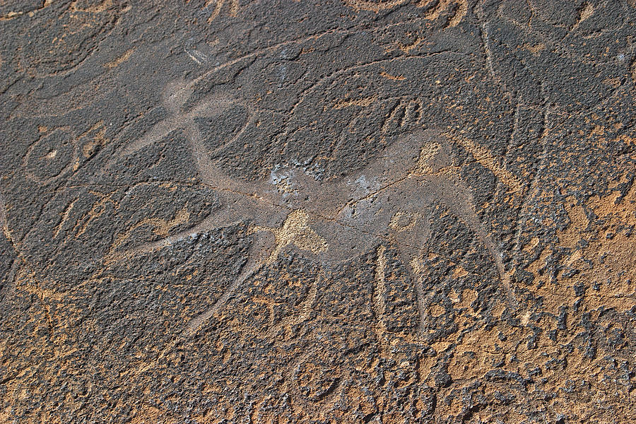 Antelope Petroglyph Namibia Photograph by David Kleinsasser