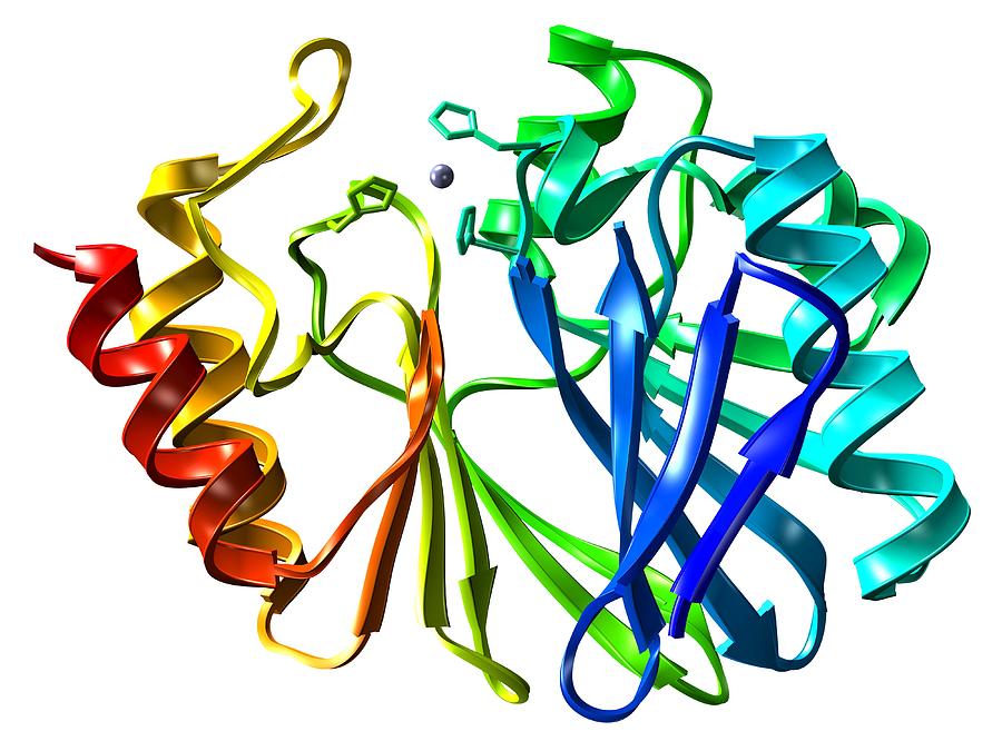 Antibiotic Resistance Enzyme Molecule Photograph By Pasieka - Pixels