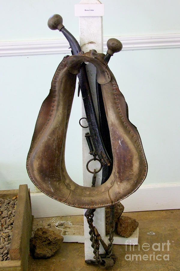 Antiquated Horse Collar Photograph