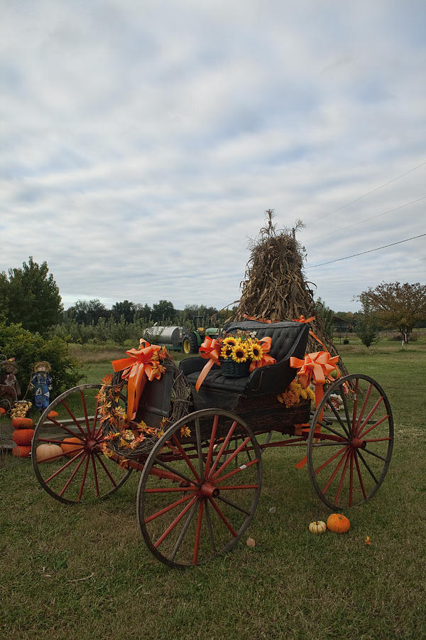 Vintage Photograph - Antique Buggy in Fall Colors by Kathy Clark