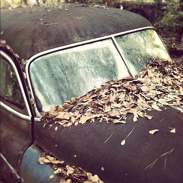 Nature Photograph - Antique Car by Derek M