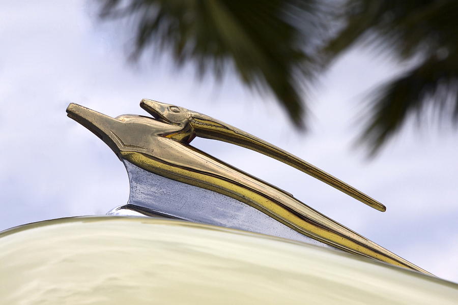 Antique Car Hood Ornament Photograph by Sally Weigand