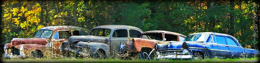 Antique Cars Graveyard Photograph by Sheila Kay McIntyre