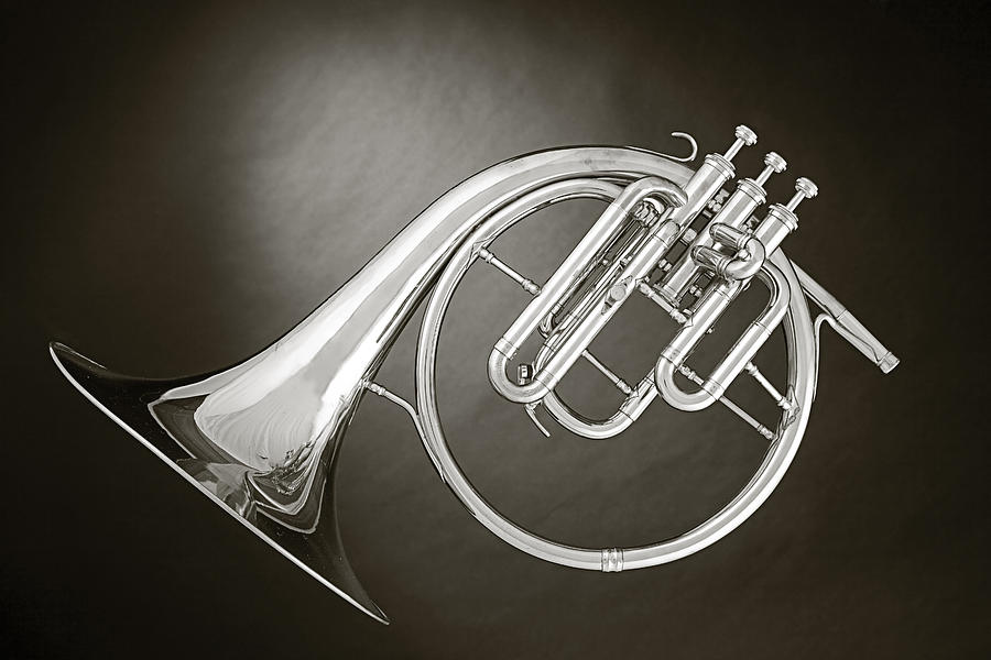 Antique French Horn Isolated Photograph by M K Miller