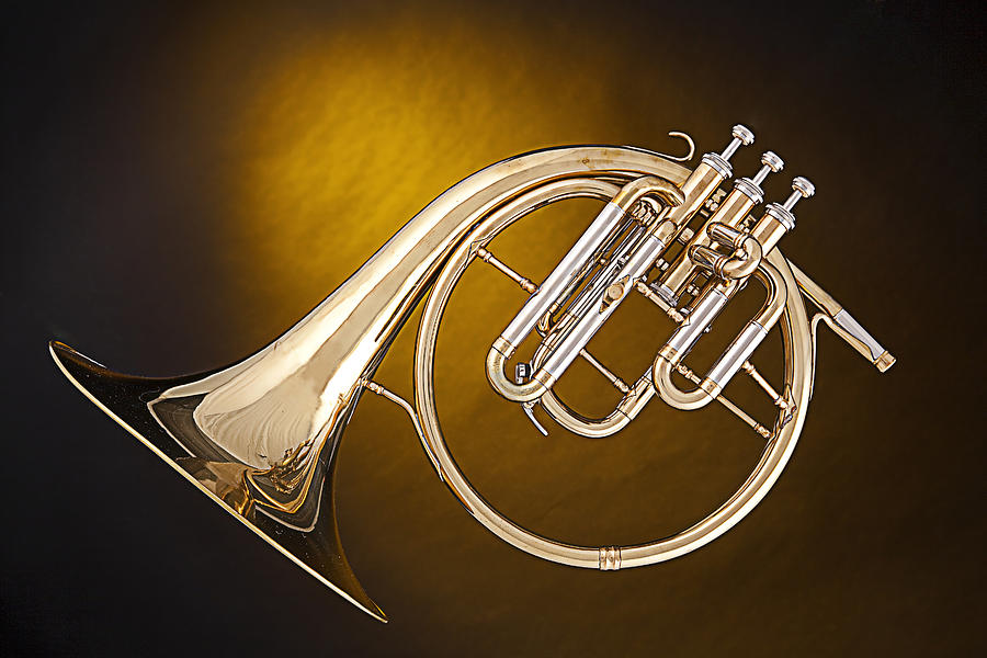 Antique French Horn Isolated on Gold Photograph by M K Miller