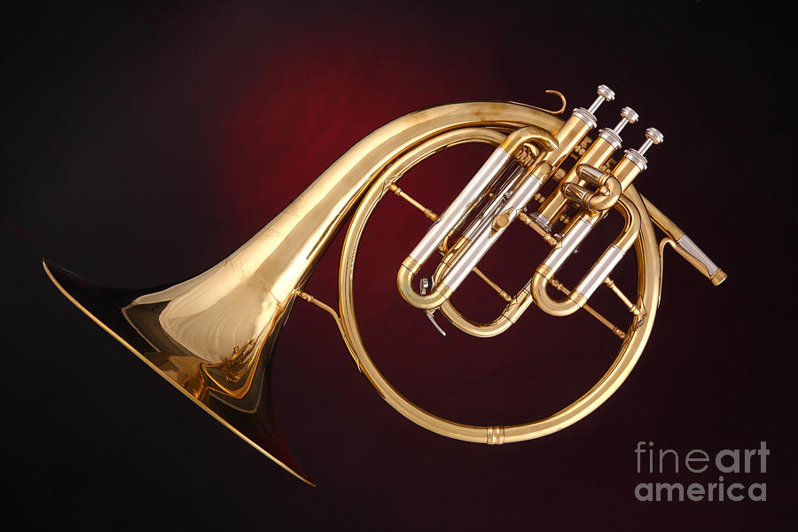 Antique French Horn on Deep Red Photograph by M K Miller