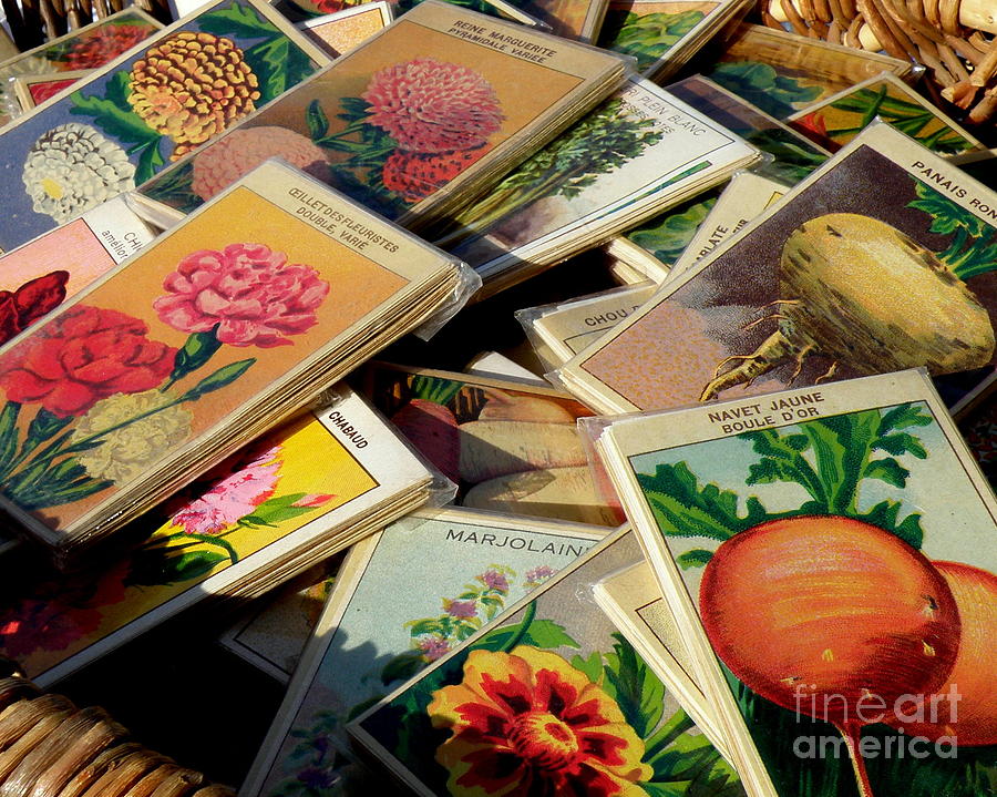 Antique French Seed Packs Photograph by Lainie Wrightson