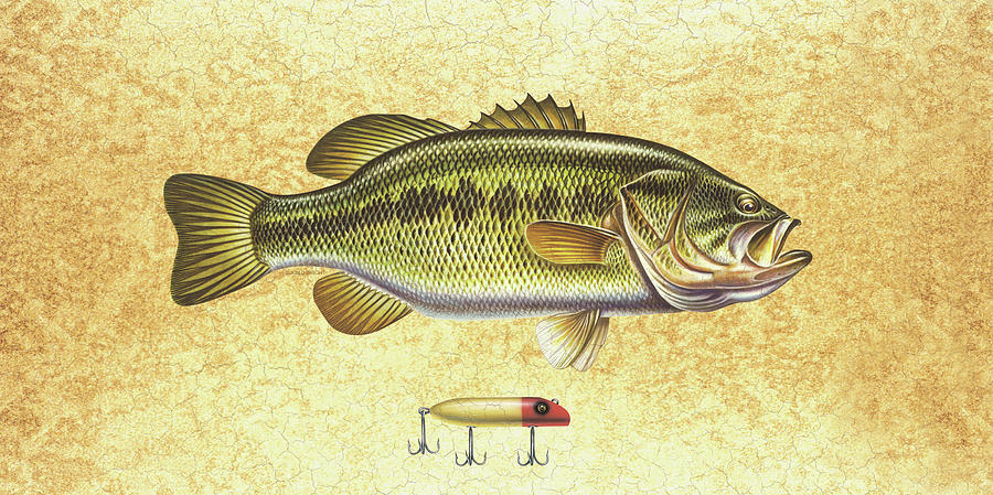 Bass Painting - Antique Lure and Bass by JQ Licensing