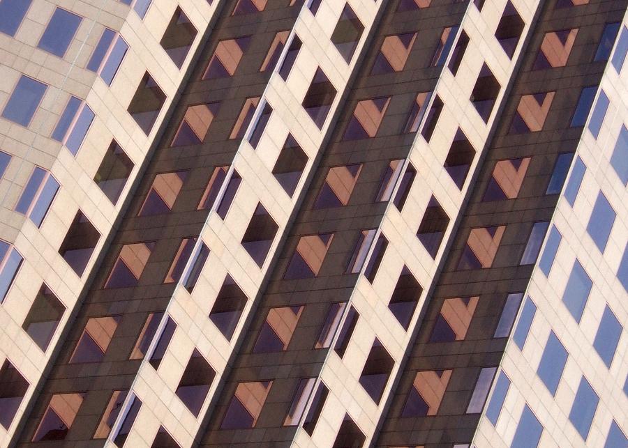 Angle Photograph - Anxious Love by Bill Kellett Angle Photograph - Anxious Love by Bill Kellett