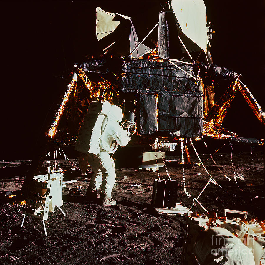 Apollo 12 Astronaut On The Moon Photograph by Nasa