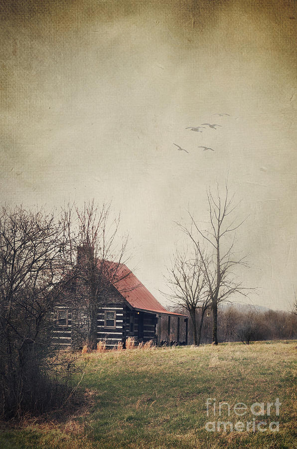 Appalachian Cabin Photograph by Stephanie Frey