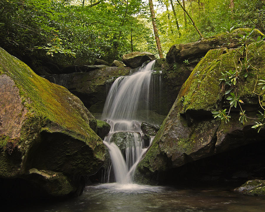 Waterfall Photograph - Appalachian Mountain creek by Ulrich Burkhalter