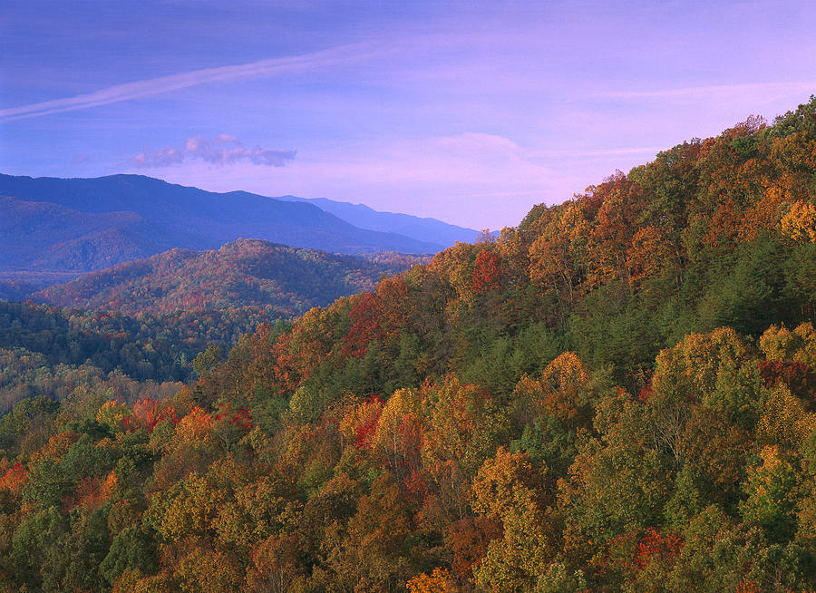 Appalachian Mountains Ablaze With Fall Photograph by Tim Fitzharris