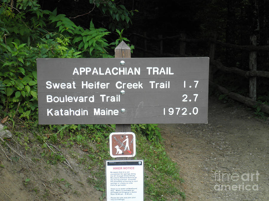 Appalachian Trail Marker Between NC and TN Photograph by Jacqueline ...