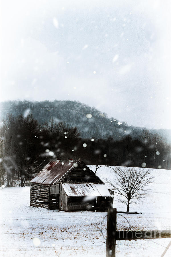 Appalachian Winter Photograph by Stephanie Frey