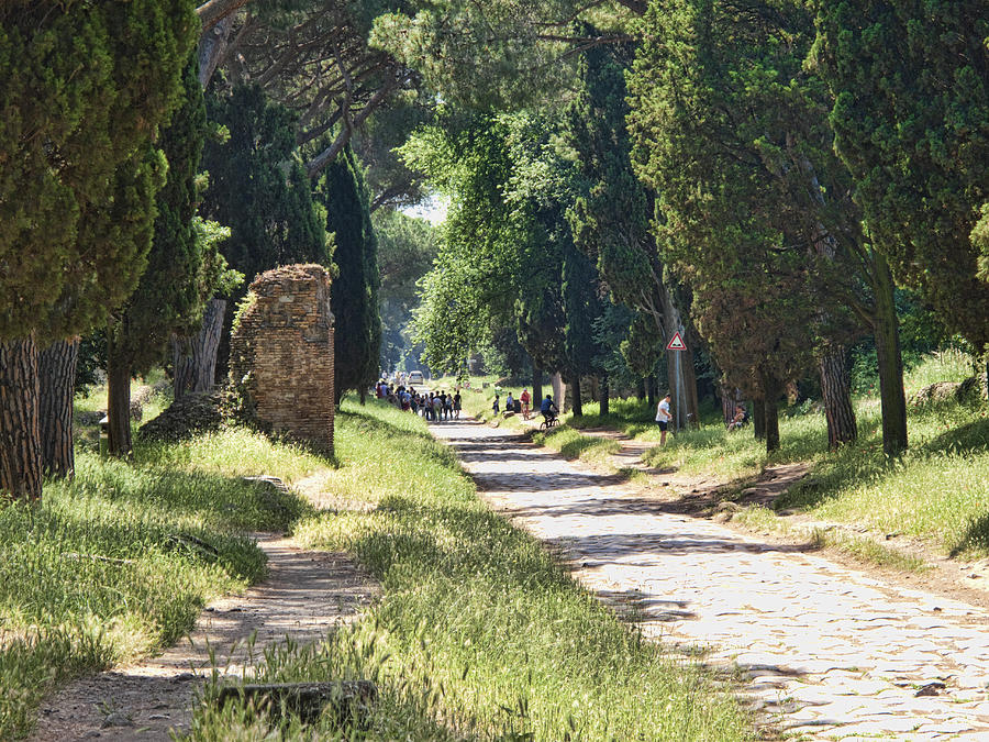 Appian Way in Rome Photograph by David Smith
