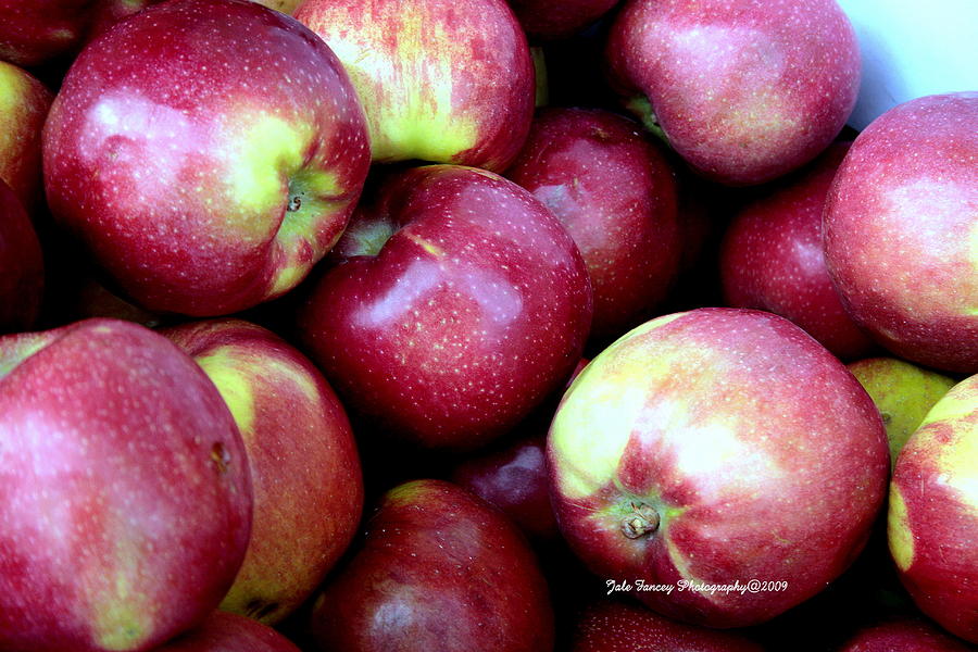Apple Bin Photograph by Jale Fancey