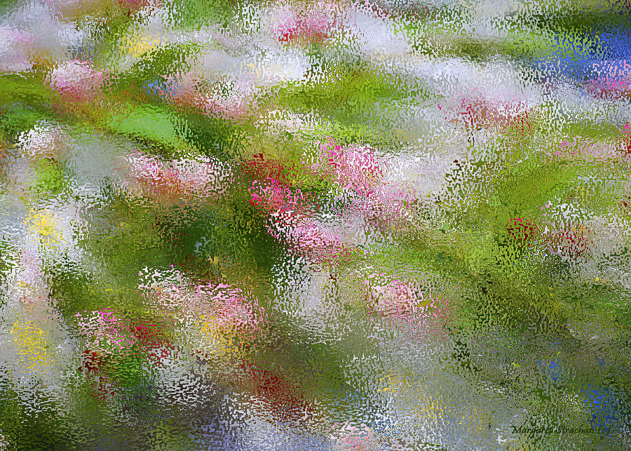 Apple Blossoms Impression Photograph by Peggie Strachan