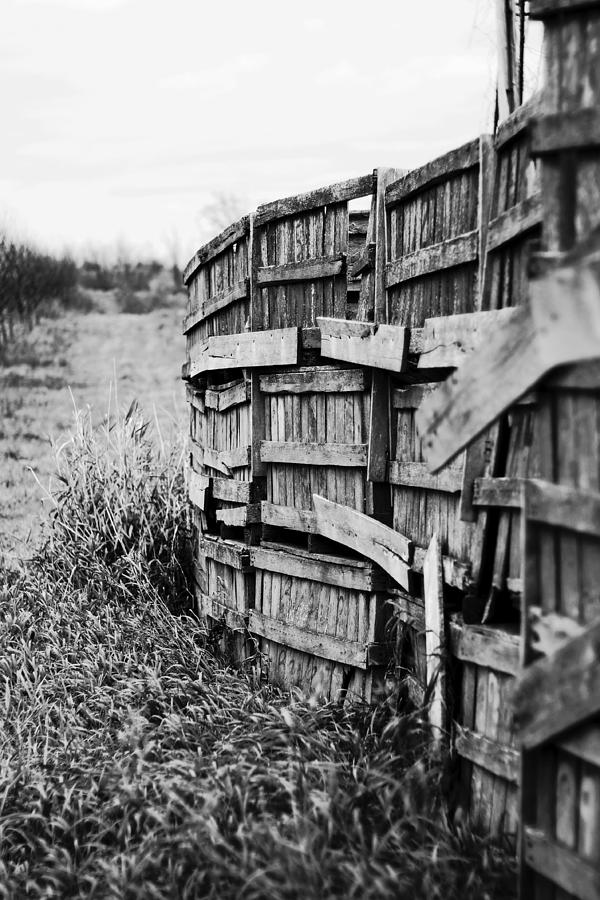 Apple Boxes Photograph by Randall Cogle