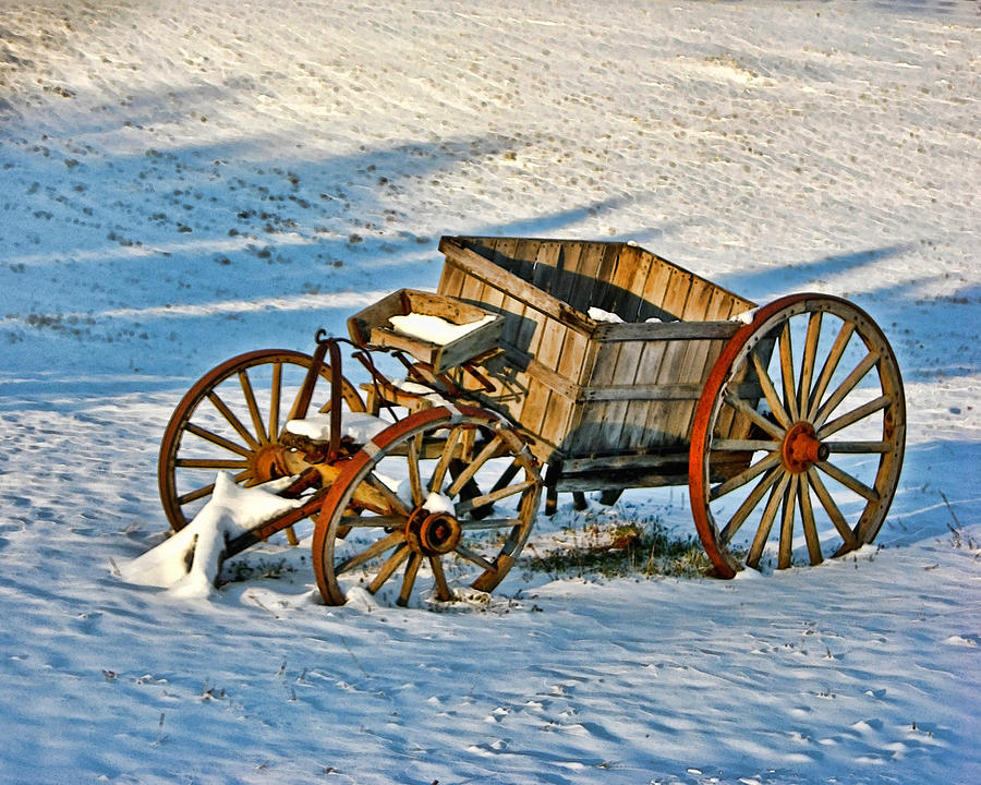 Apple Cart Photograph by Maurice Griffith - Fine Art America