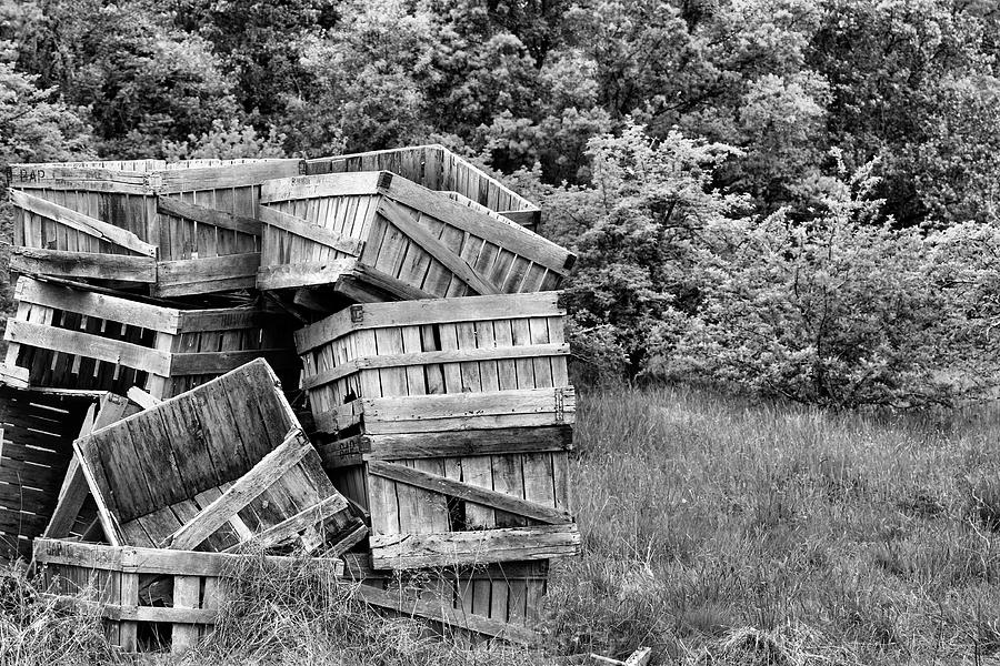 Farm Photograph - Apple Crate BW by JC Findley