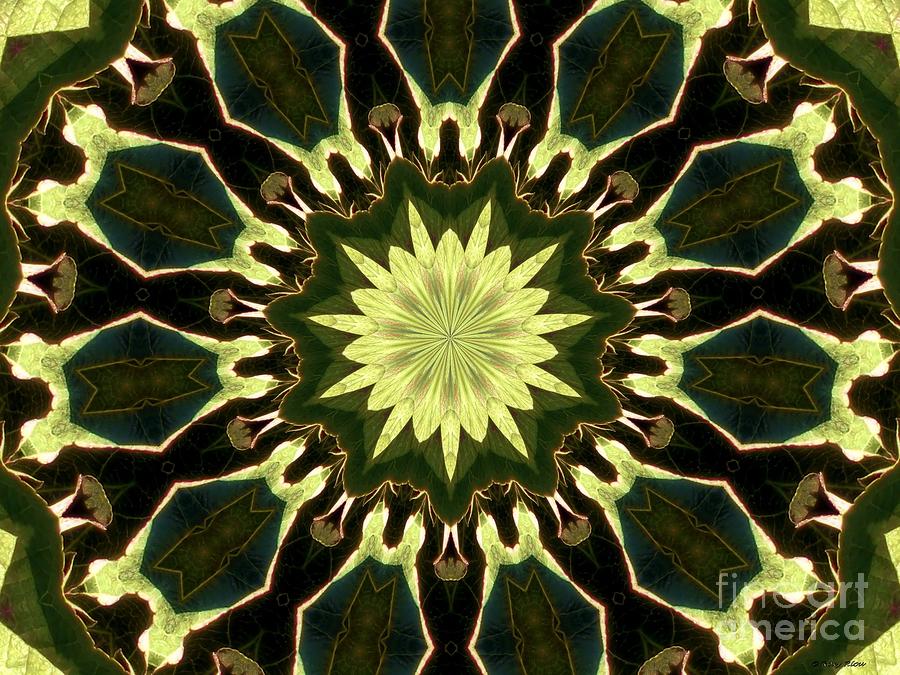 Apple Kaleidoscope B Digital Art by Roxy Riou